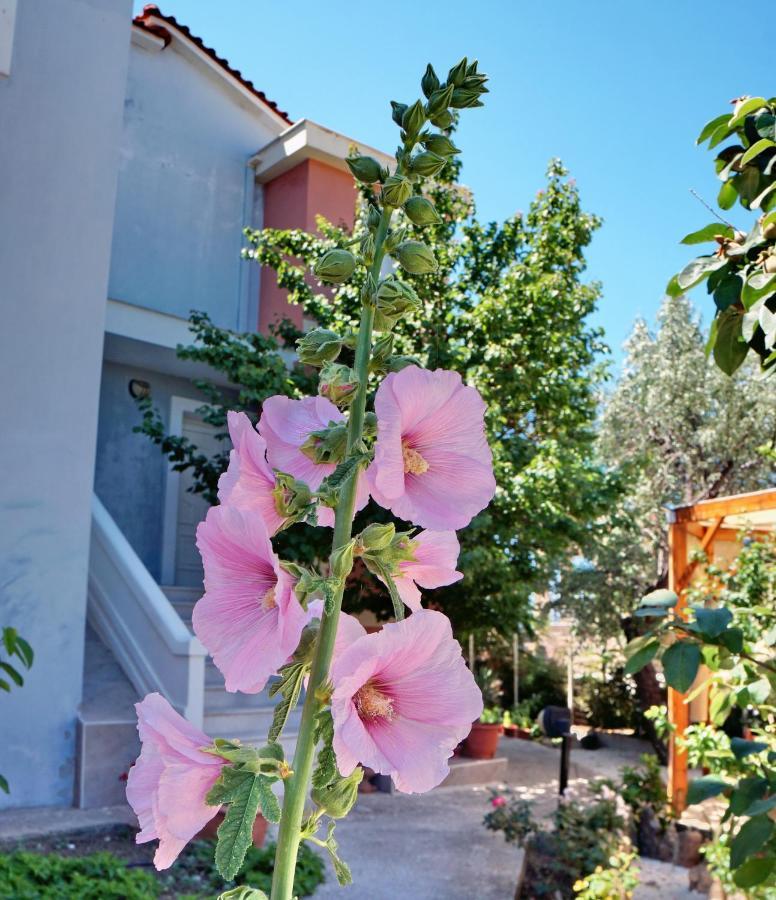 Edem Aparthotel Vatera Exterior foto